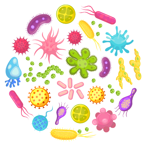 Balancing Microbiome- Neotonics Skin And Gut