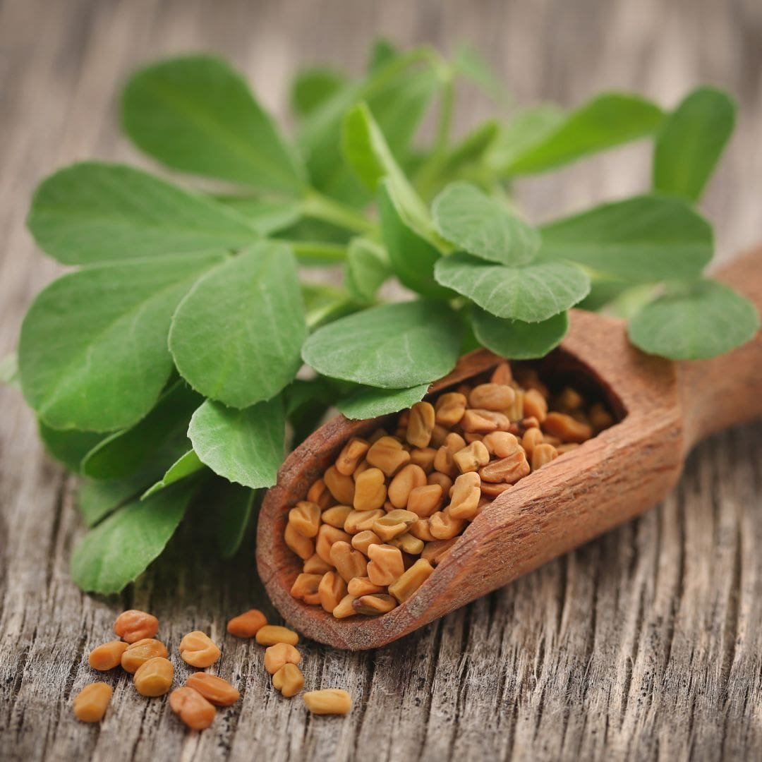 Fenugreek- Neotonics Skin And Gut ingredients